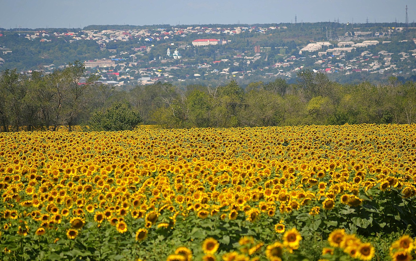 Богучар фото города