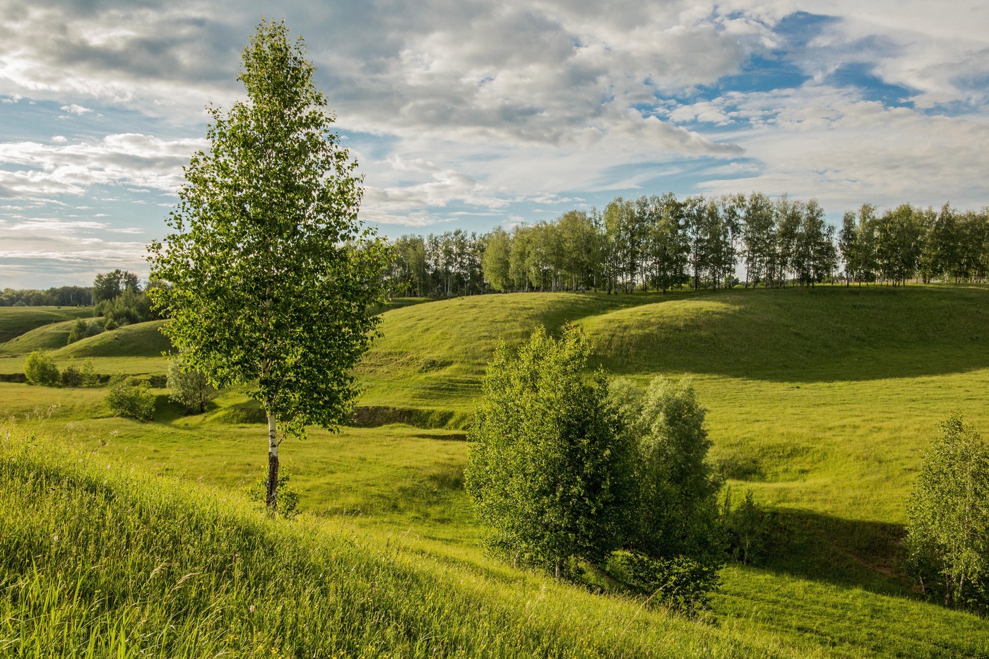Природа татарстана картинки