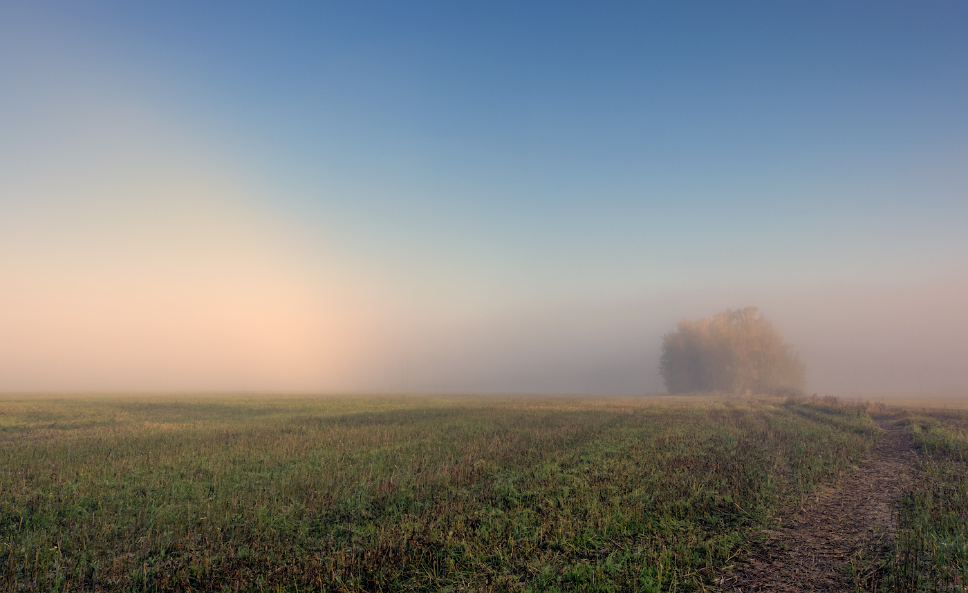 Туман стелется над полями и над синей. Даль туман. Поле в тумане. Осень дорога в поле туман даль. Озинки в тумане поля.