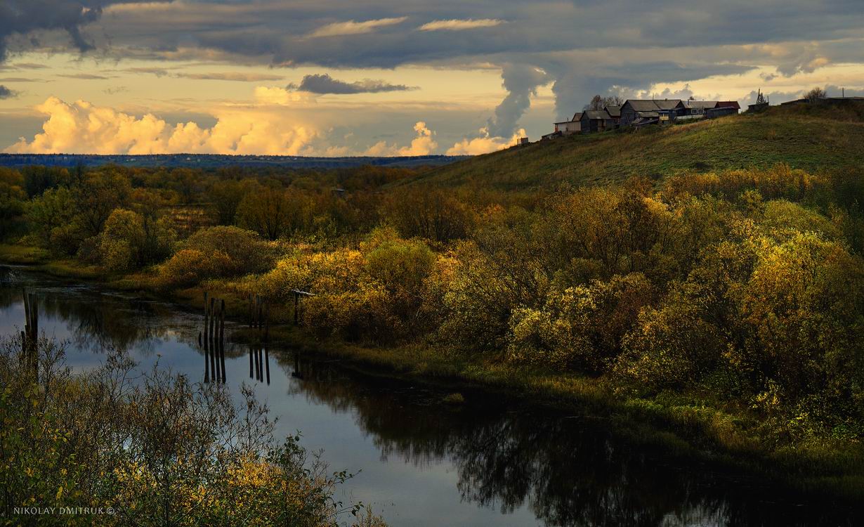 Николай дмитрук фото