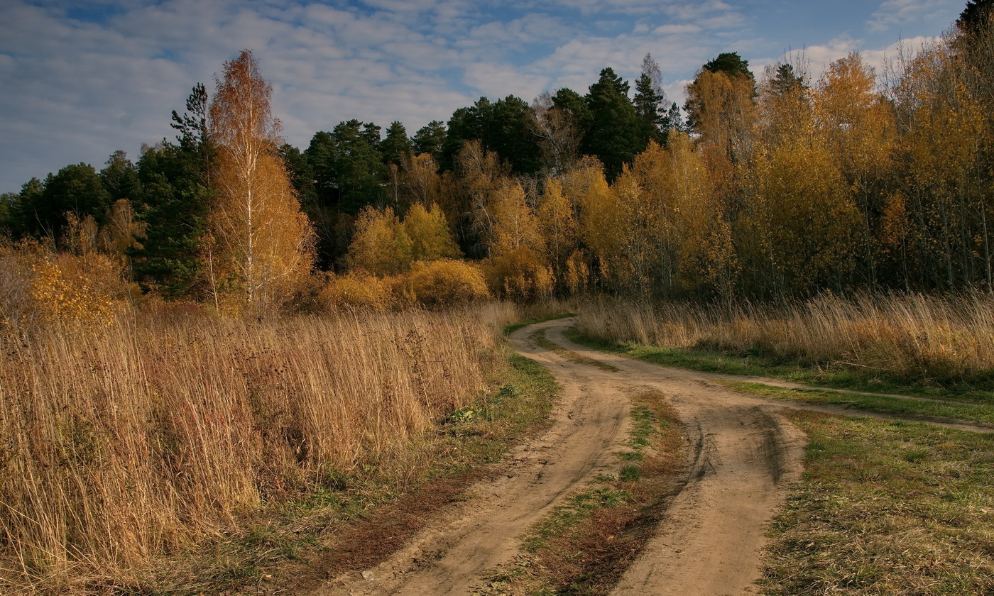 Томская область осень