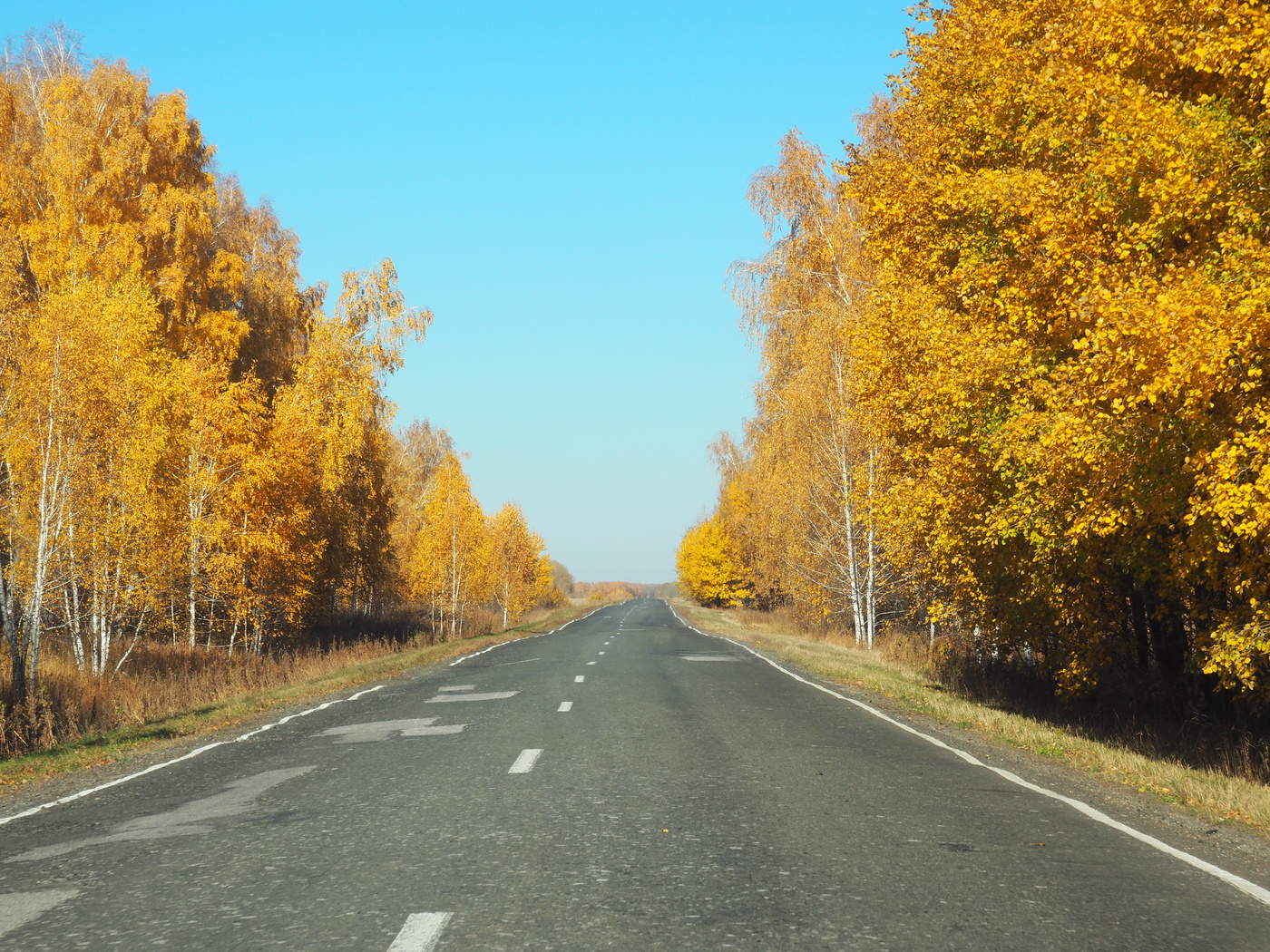 Дорога осенью в России