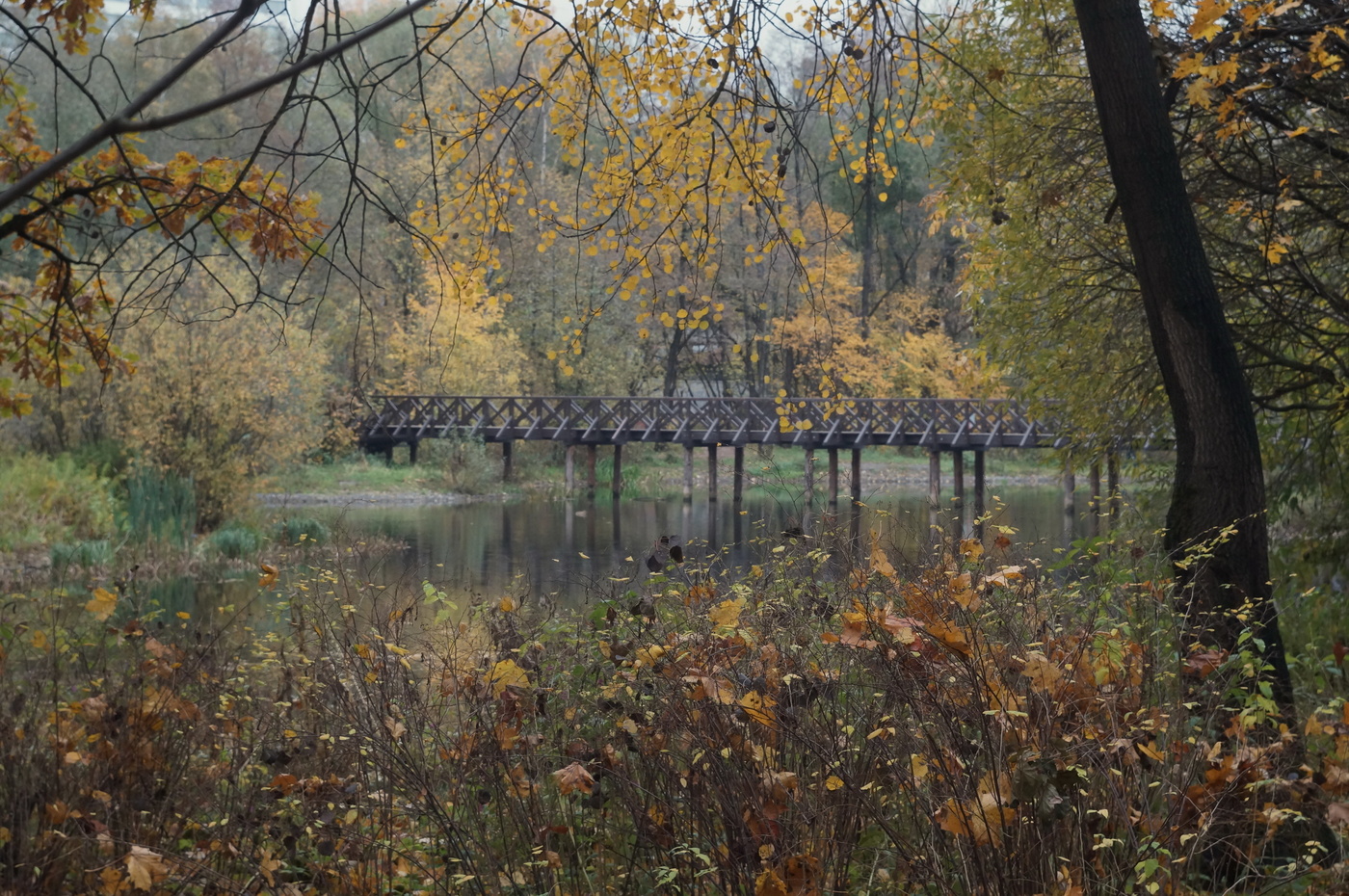 Парк Покровское-Стрешнево осенью