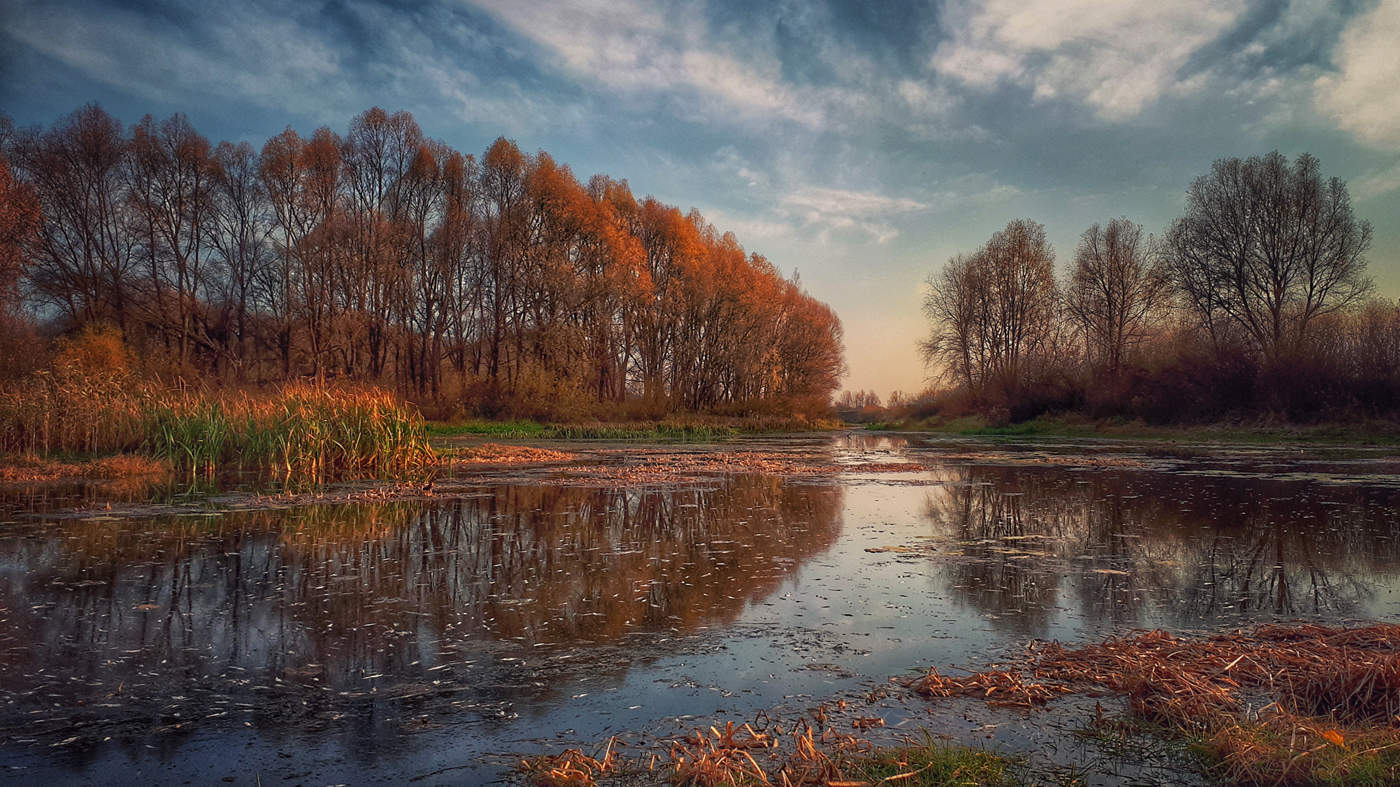Река Десна Брянск осень