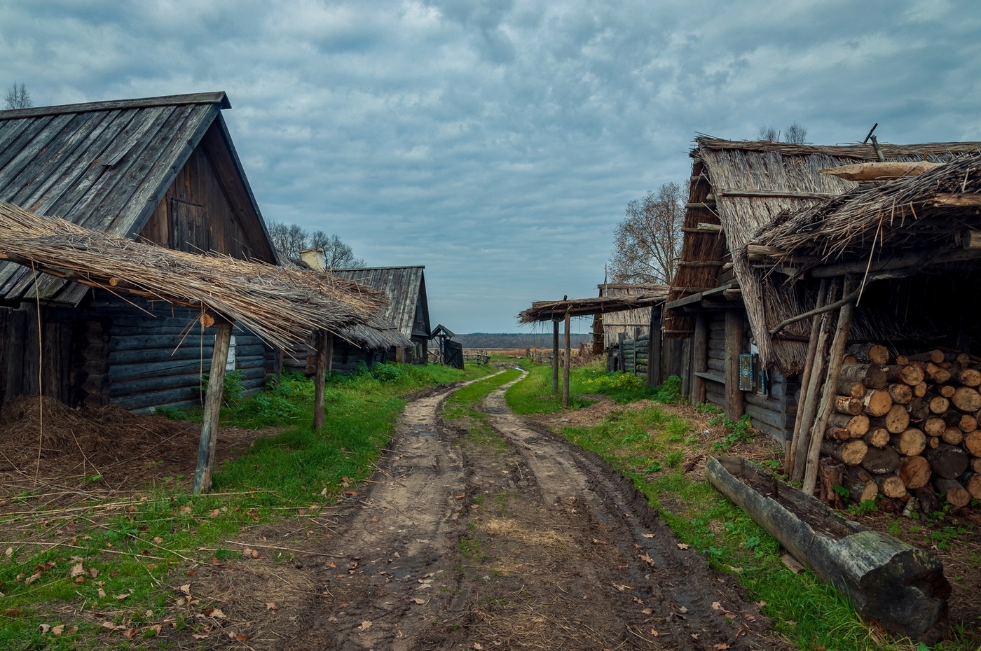 Деревня захолустье Псковская область