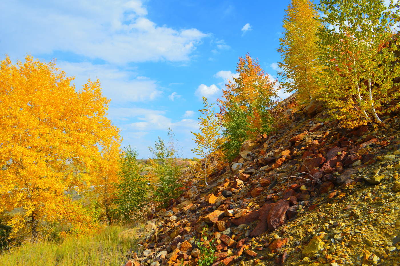 Осень длится