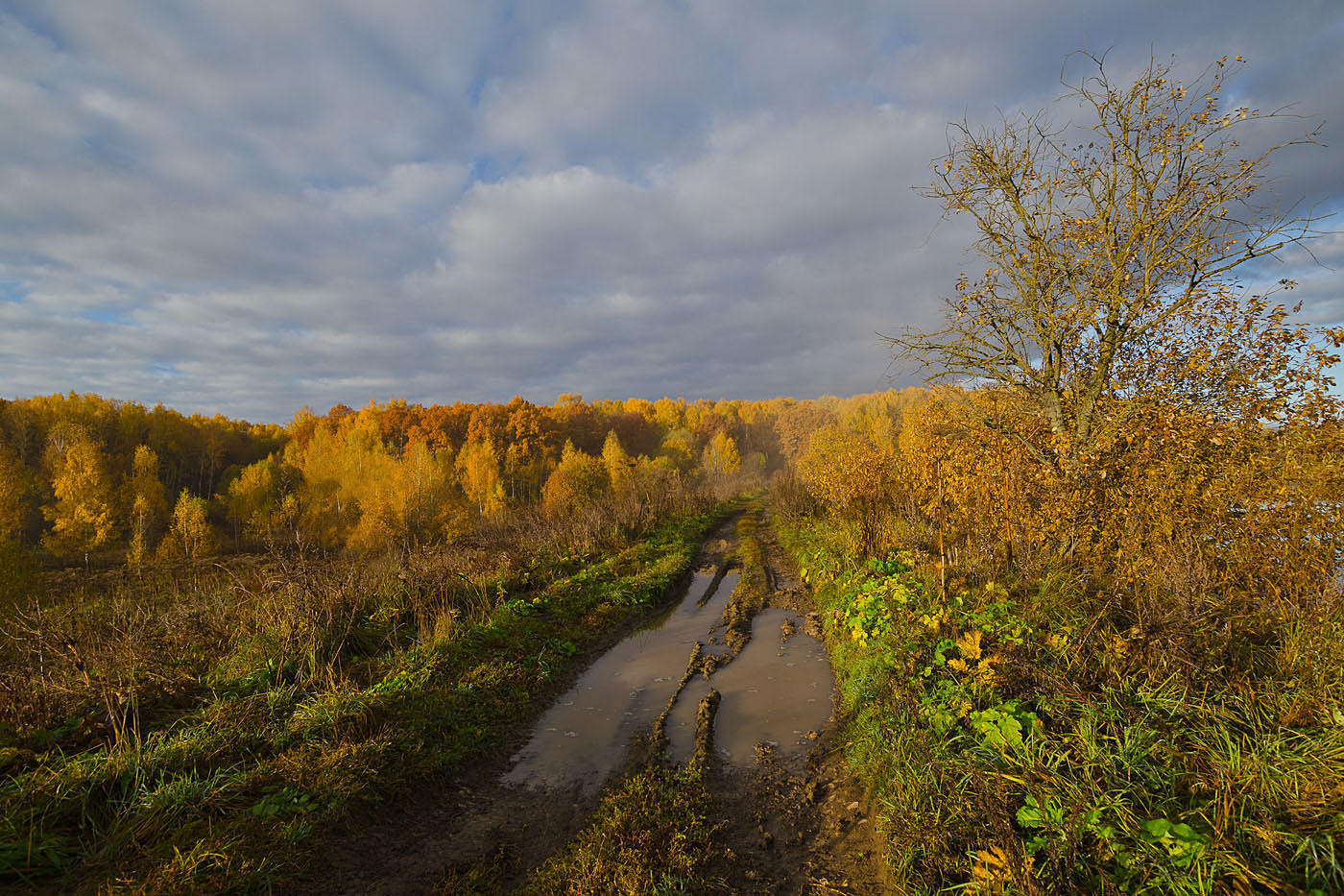 фото ленинский район тульской области