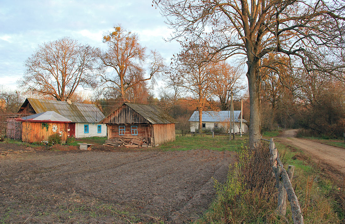 Село сильнее. Великие Коровинцы 2. Стобыхва село Волынь. Полесское Украина фото.