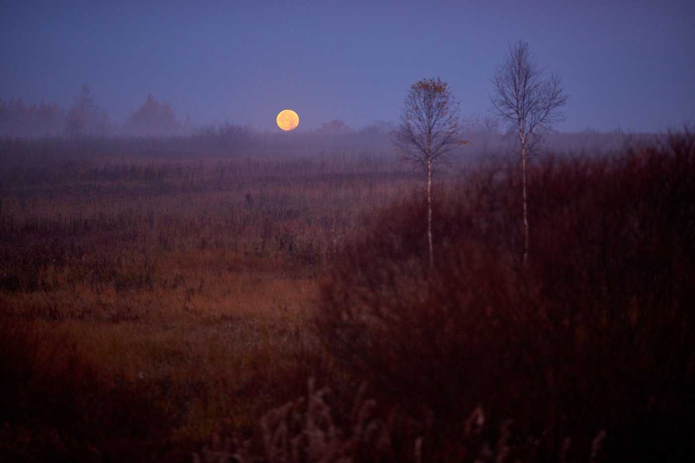 Утренняя Луна фото