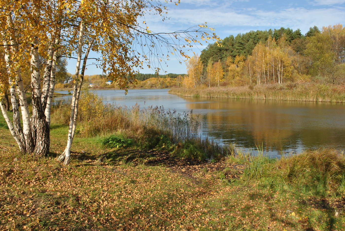 Октябрь кемерово. Кемерово осень. Природа осенью Кемерово. Утро Кемерово осень. Доброе утро Кемерово осень.