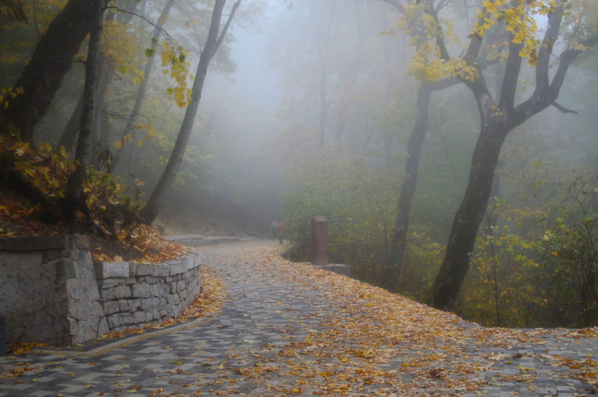 Славяновский Исток Железноводск зимой панорама