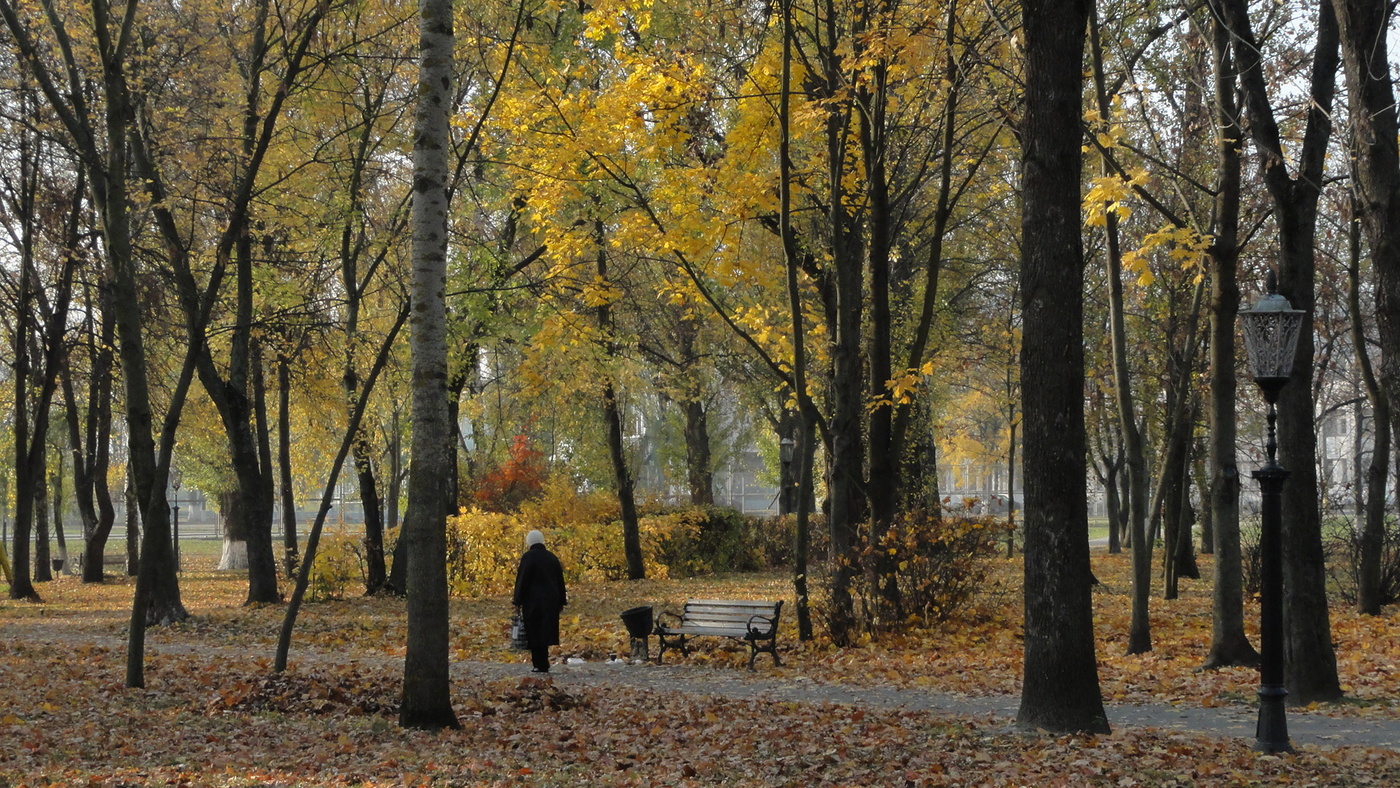 фото в парке в гомеле