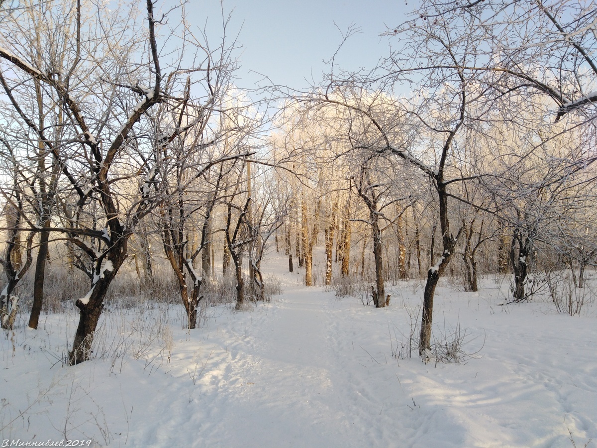 лошицкий парк зимой