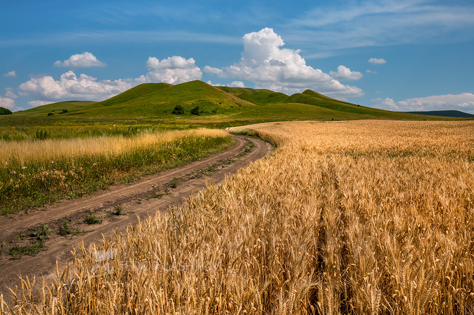 Природа ставропольского края рисунок