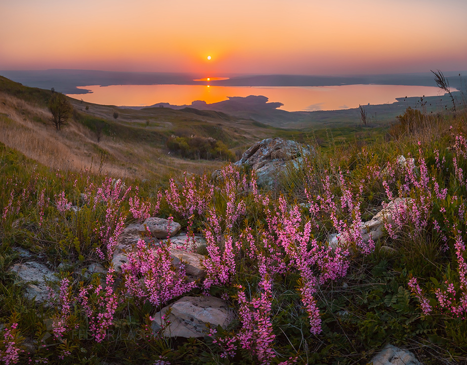 Край фото сайт