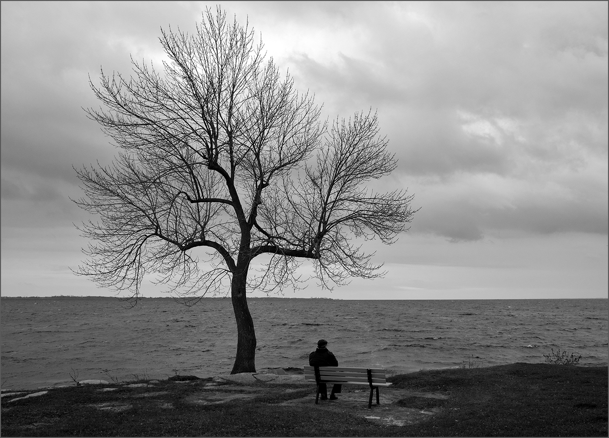 Меланхолия депрессия. Это одиночество. Грустное дерево. Одиночество картинки. Мрачное одинокое дерево.