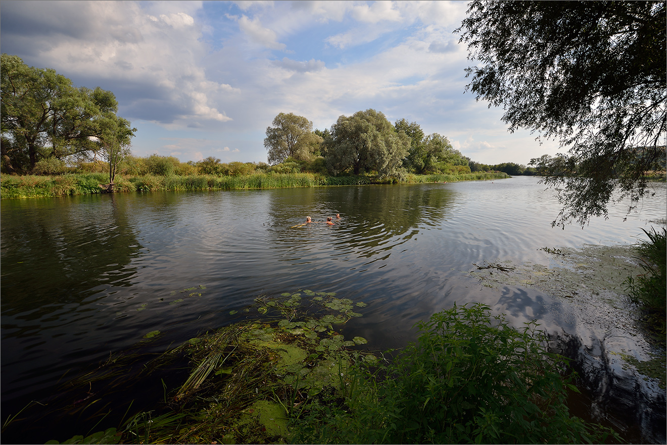 река усмань воронеж