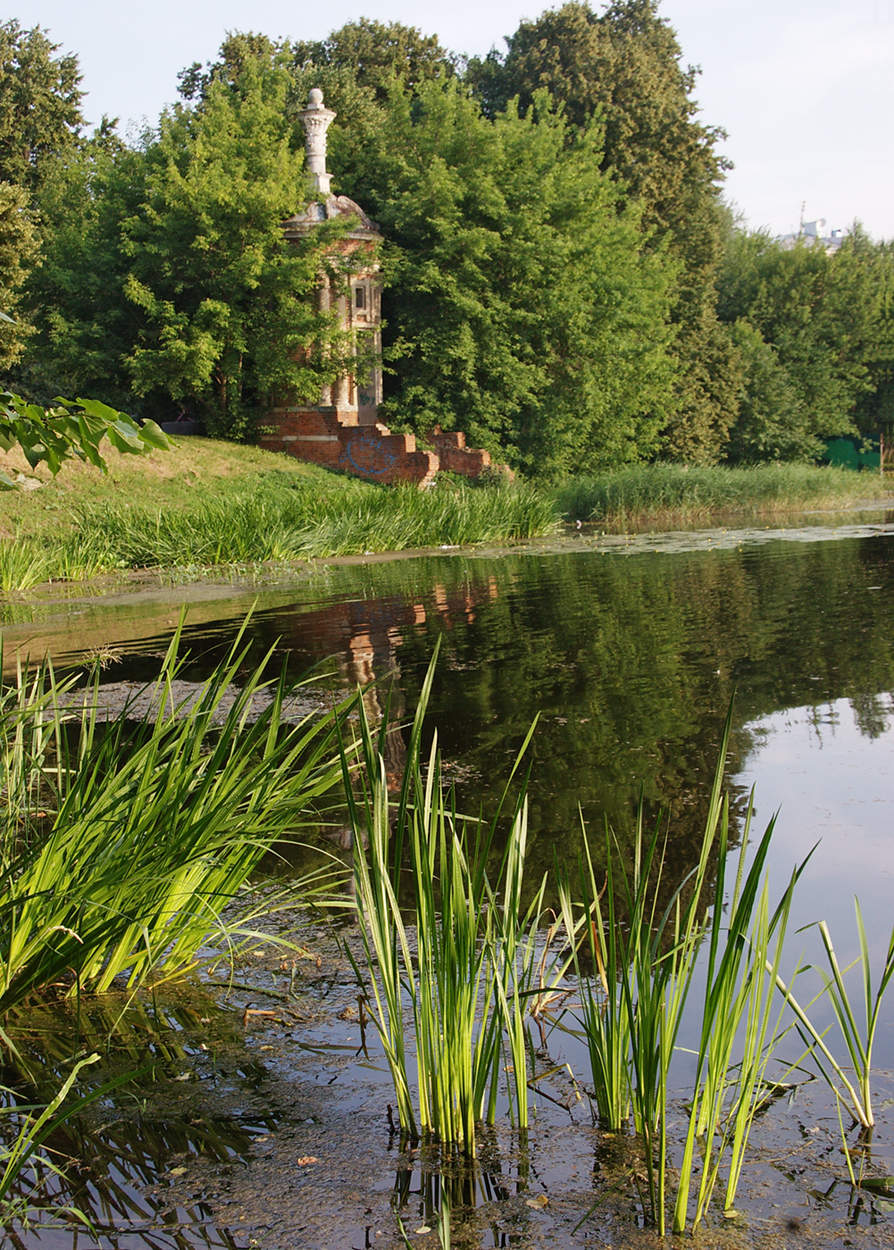 Головинские пруды пруды москвы. Головинский пруд отзывы. Головинские пруды пруды москвы. Большой головинский пруд москва. Парк михалково головинские пруды.