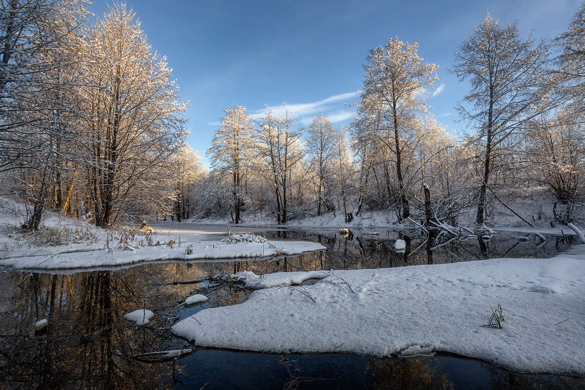 Снежное утро красивые фото