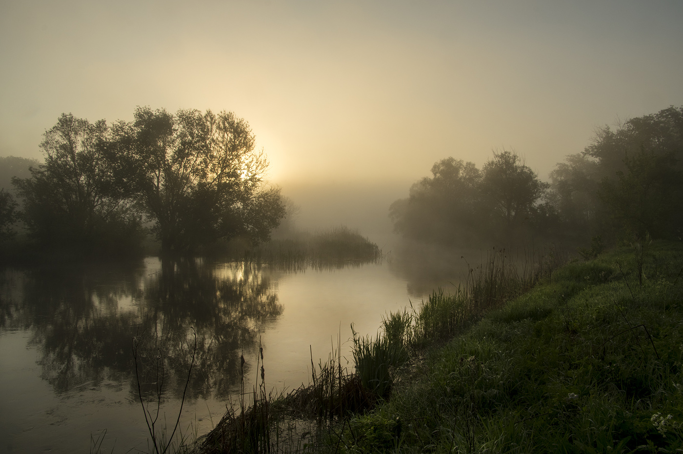 Утро над рекой