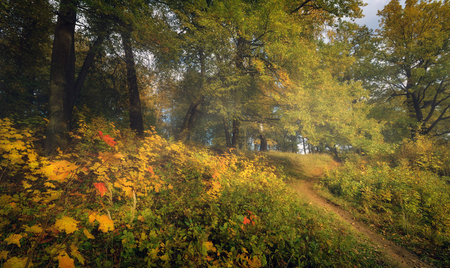 ясная поляна осенью красивые фото