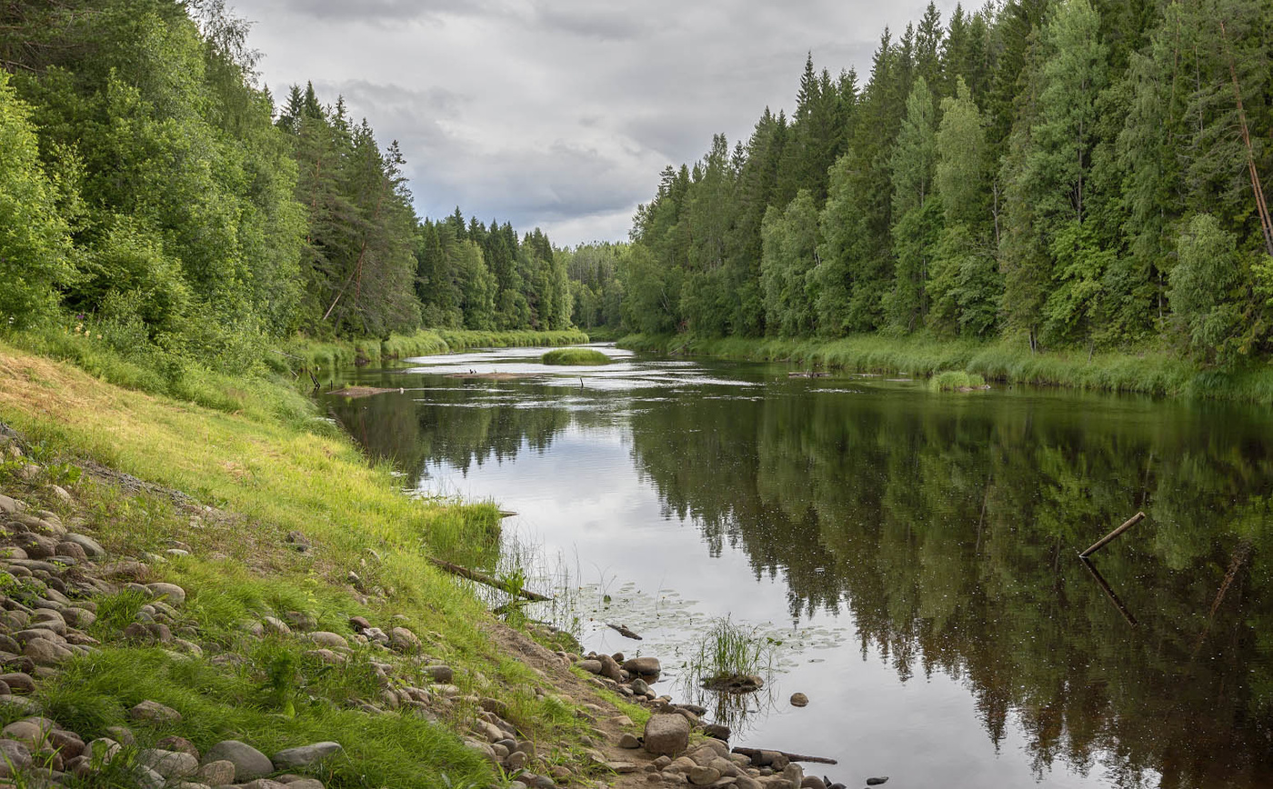 Река летняя карелия фото