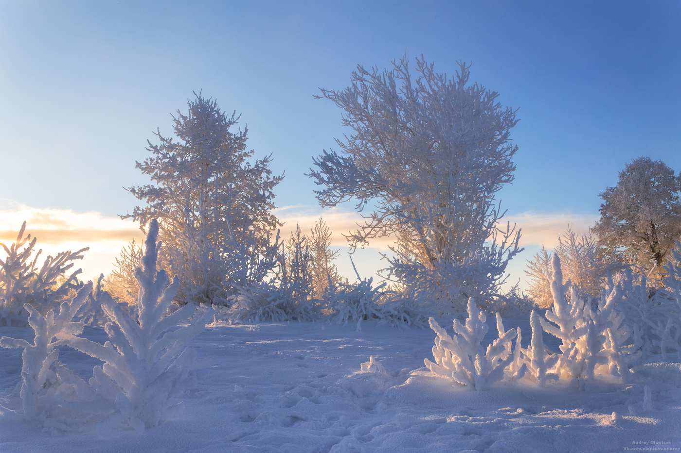 Природа Московской области зима