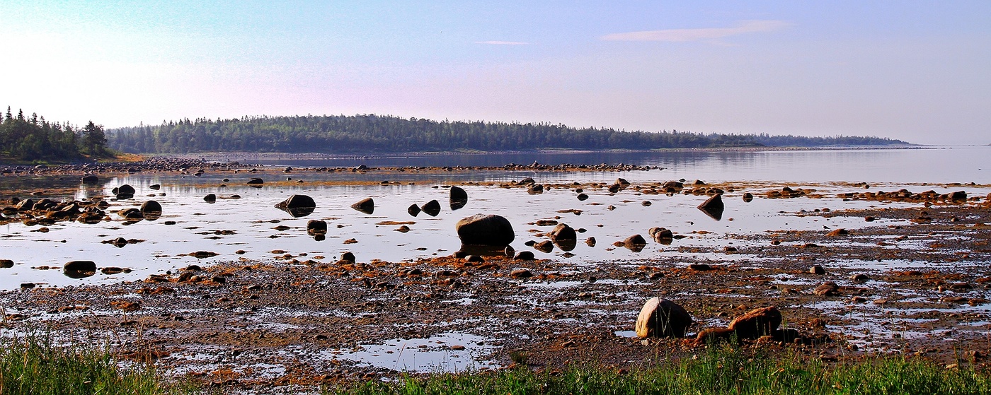 Белое море отлив