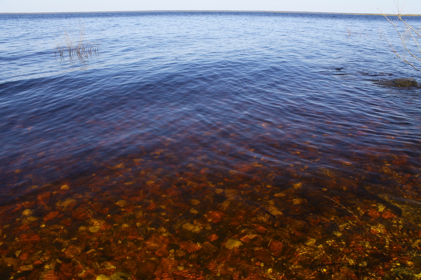 Кубенское озеро вологодская область фото