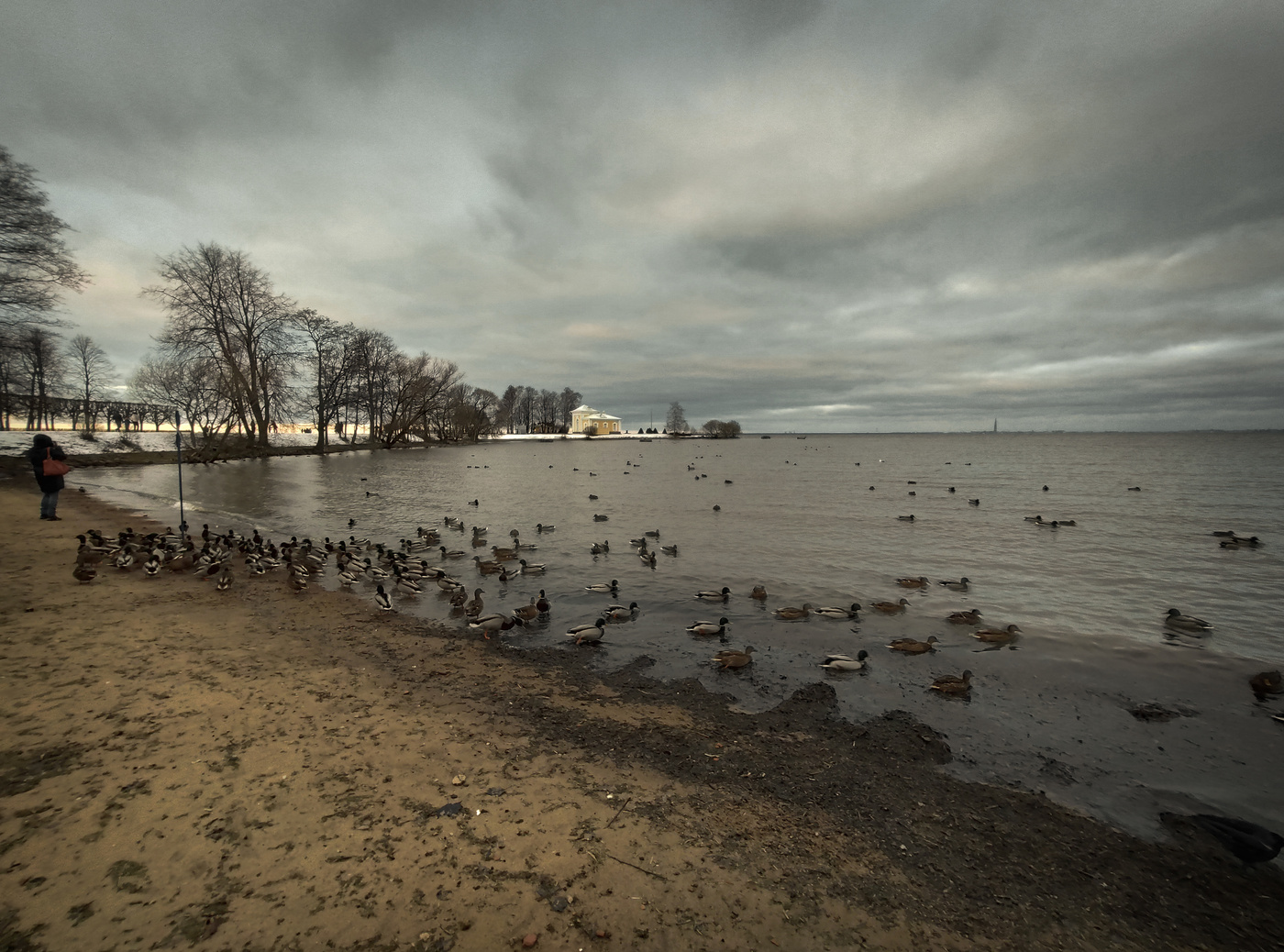 Петергоф финский залив фото