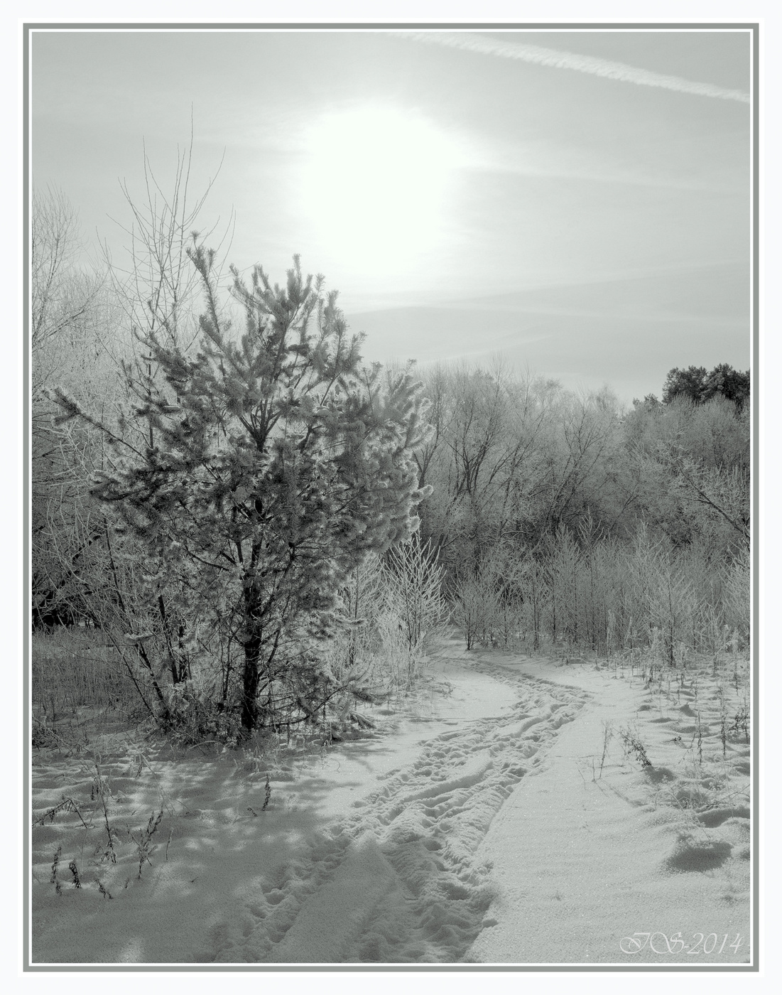 Тютчев зима. Ореол гатчинский парк зима. Март пейзаж. Яркие зимние закаты. Прошлую зиму.