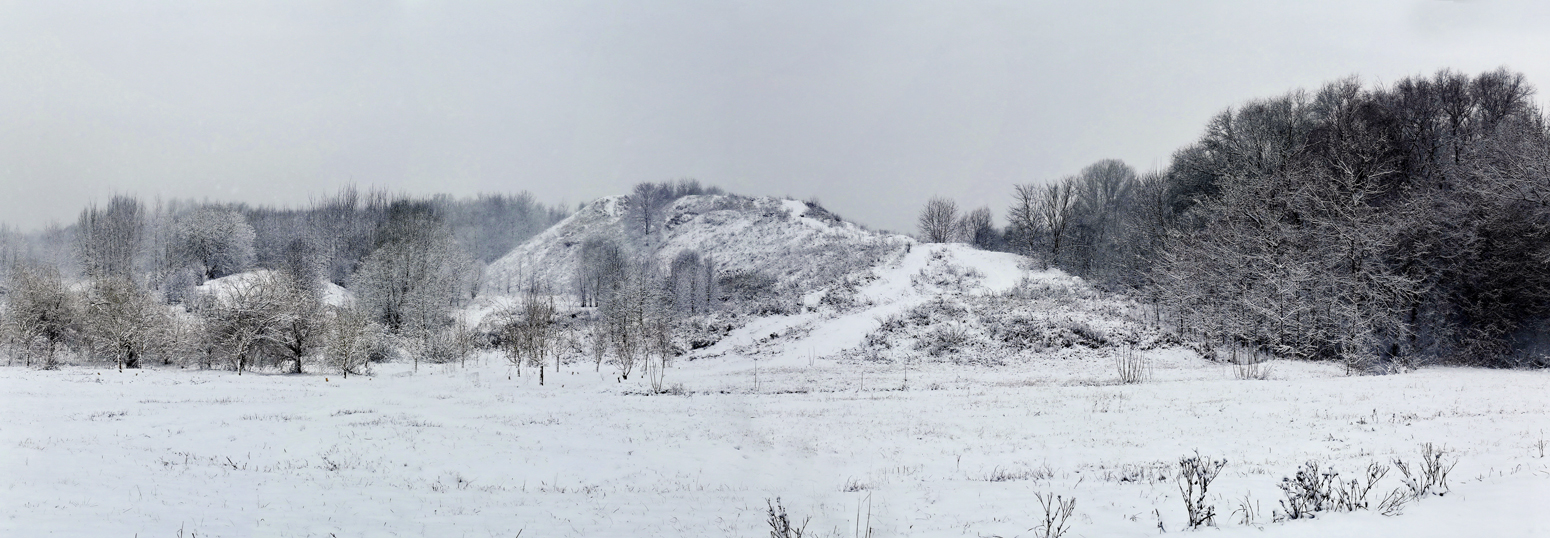 Дьяково городище в коломенском фото