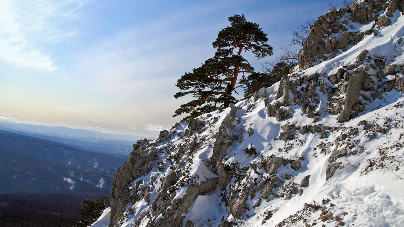 Катание на лыжах Чатыр Даг