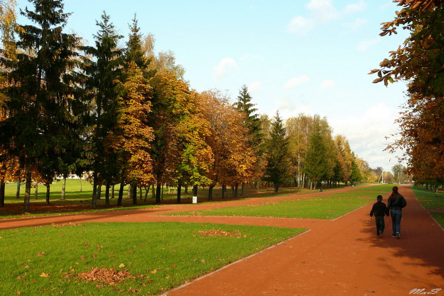 Беларусь Гродно осень