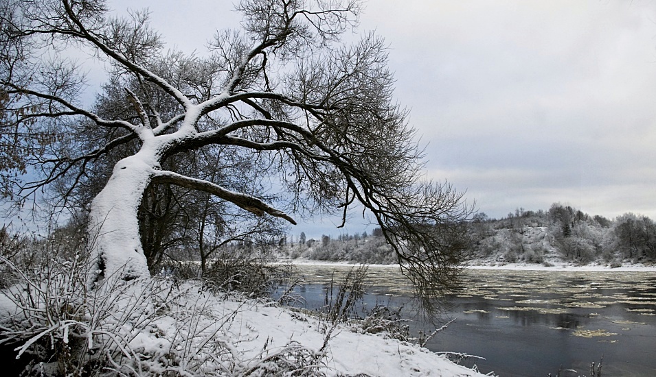 Снежань на русском