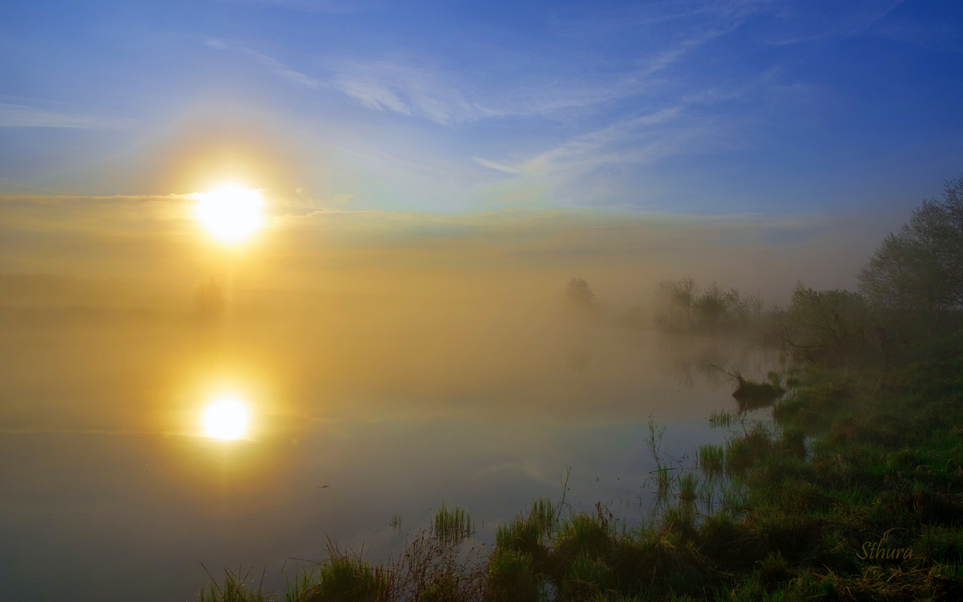 Озеро сосны солнце облака заяц