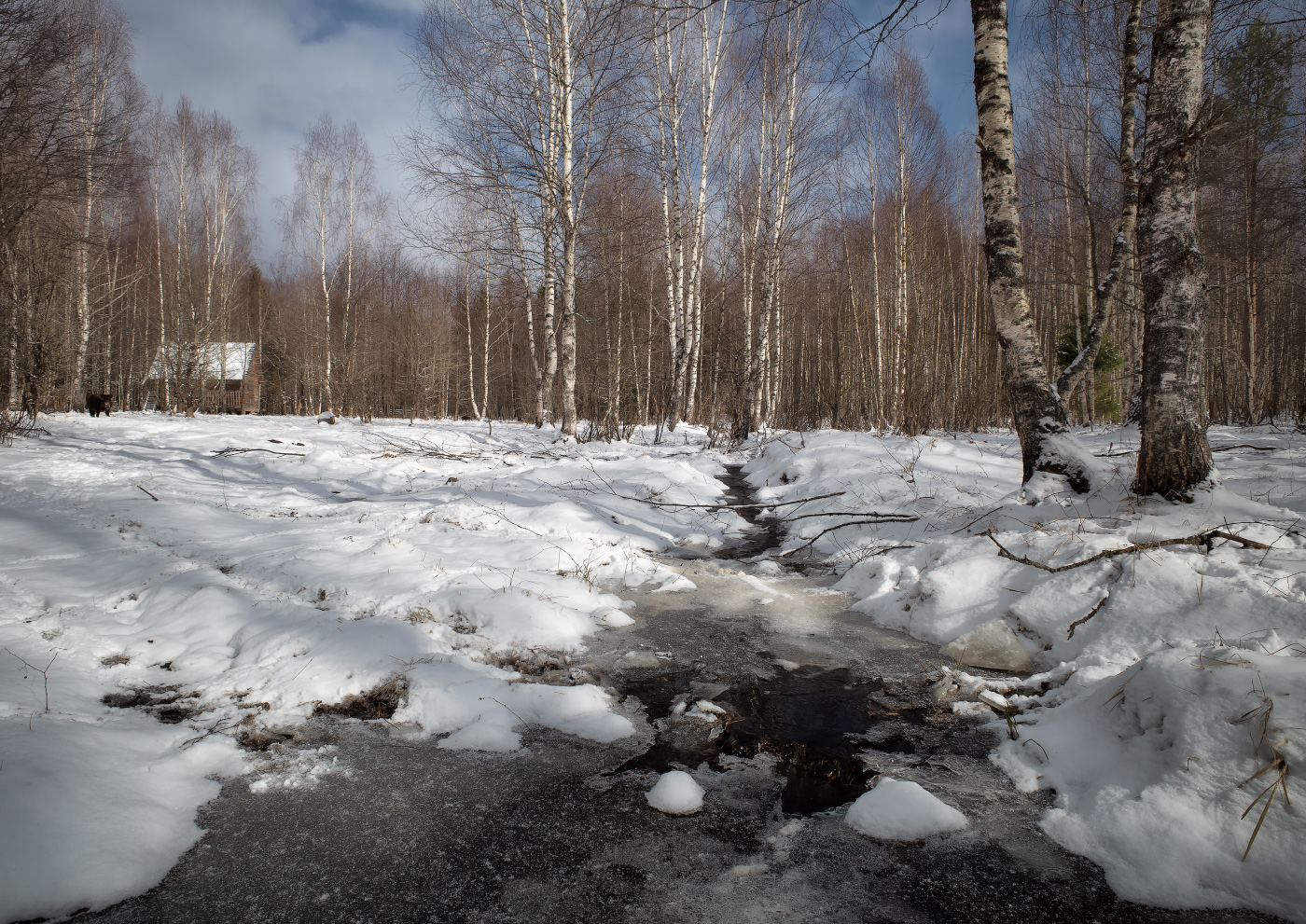 Фото ручейки весной