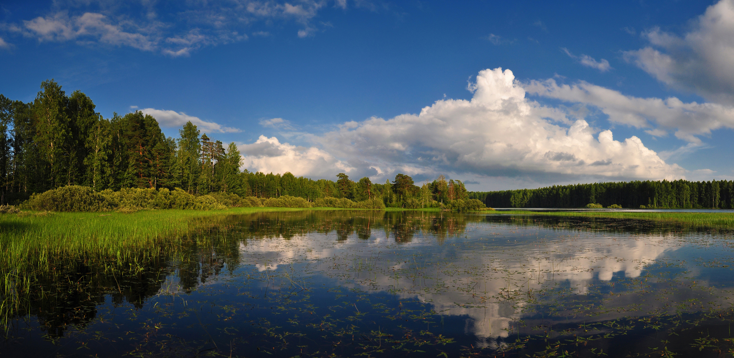 река рядань в пикалево