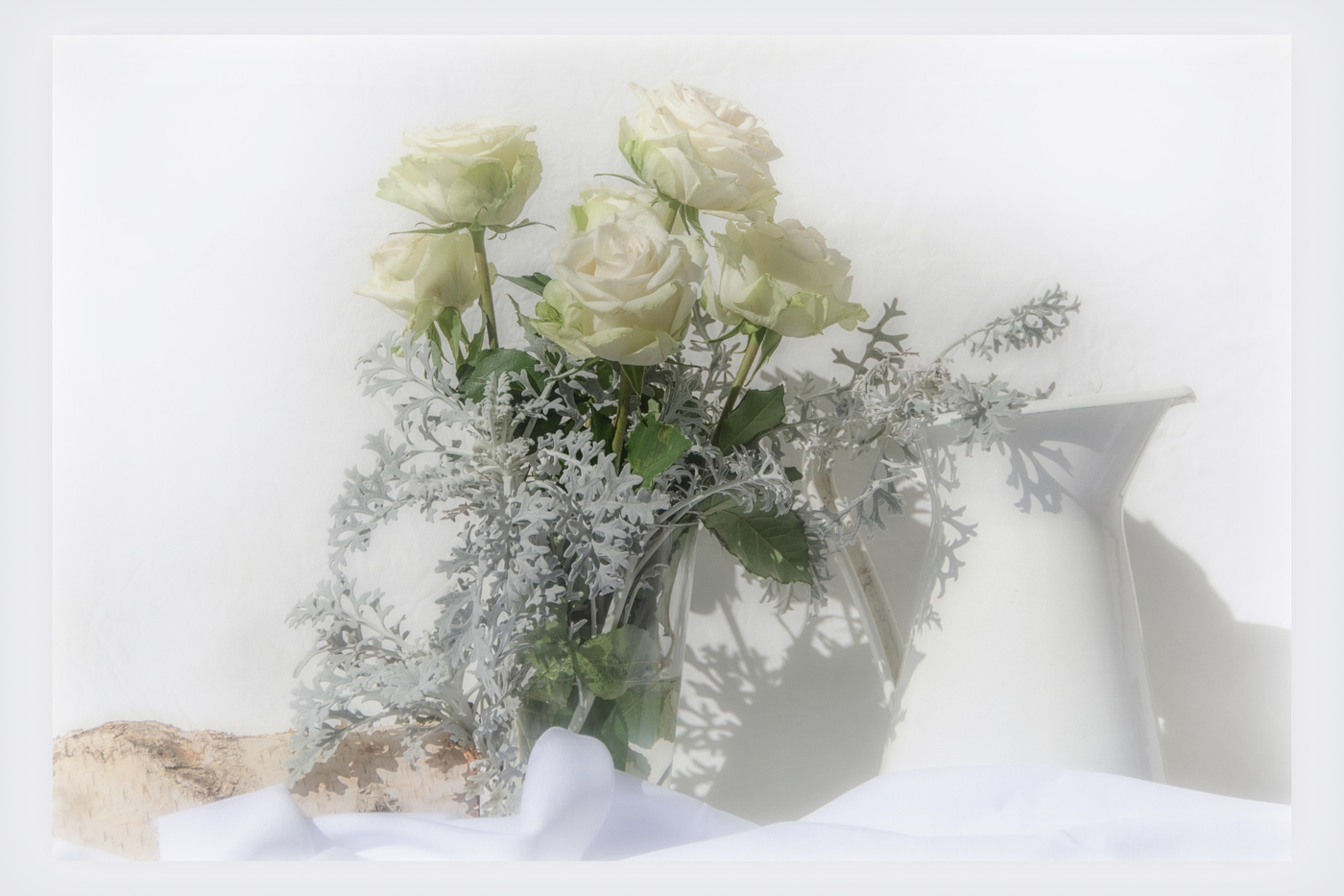 Нэнси белые розы на краю стола