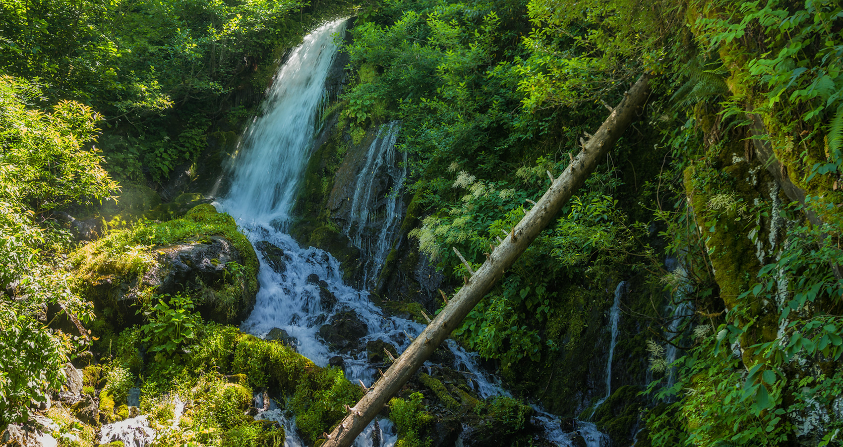 Водопад птичий клюв в Абхазии
