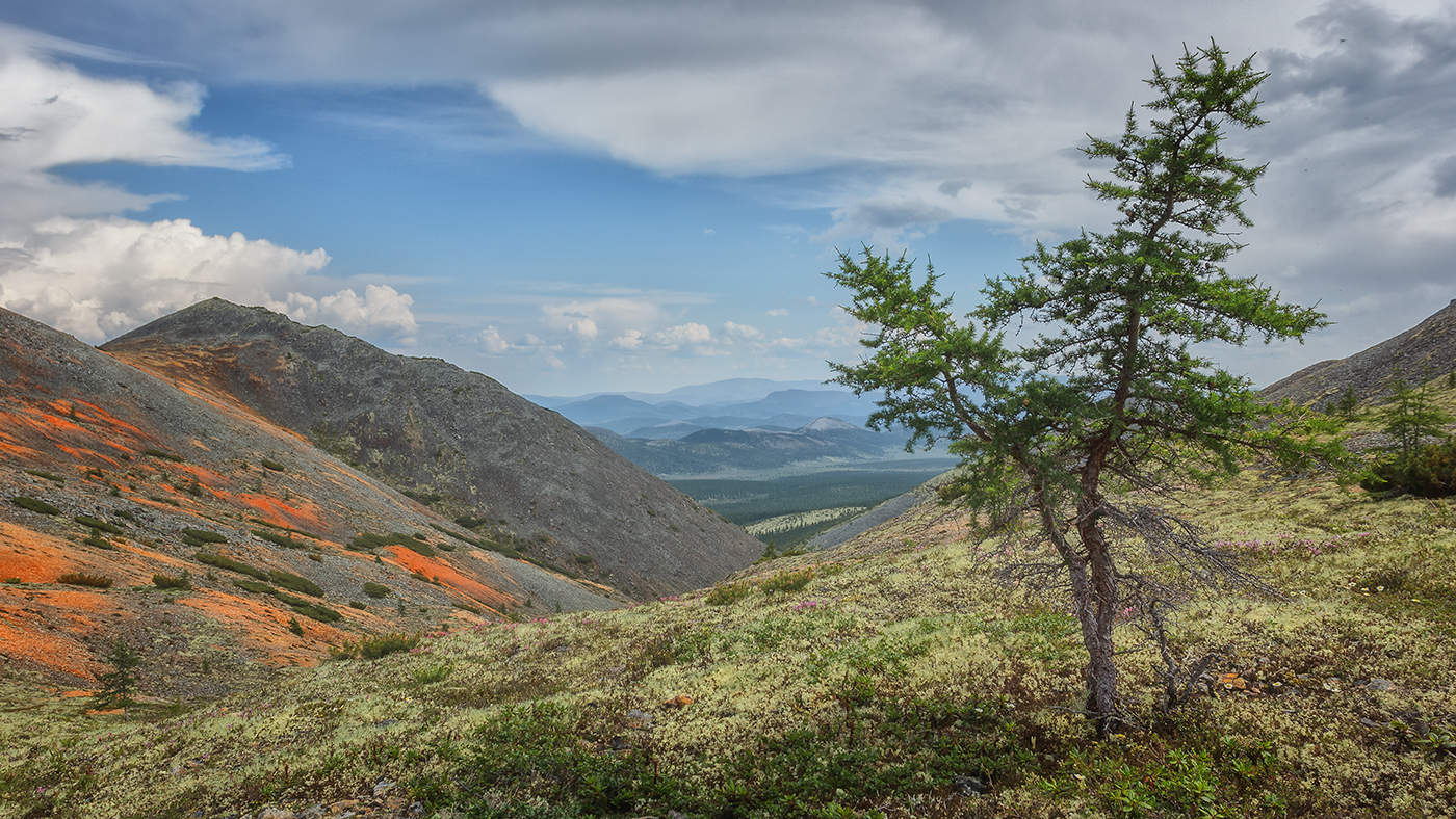 Сопки магадана фото