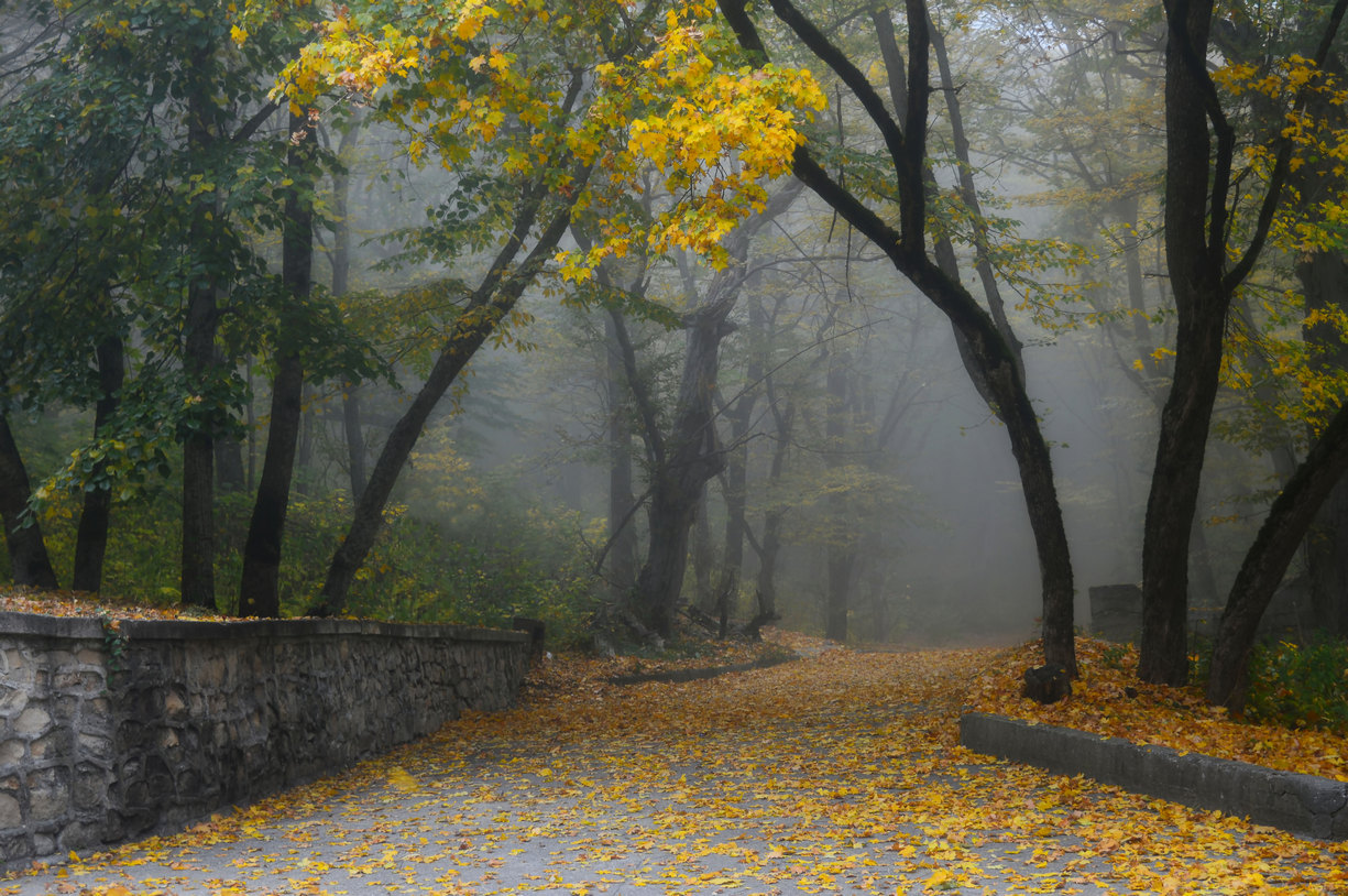 Осенний парк в Железноводске