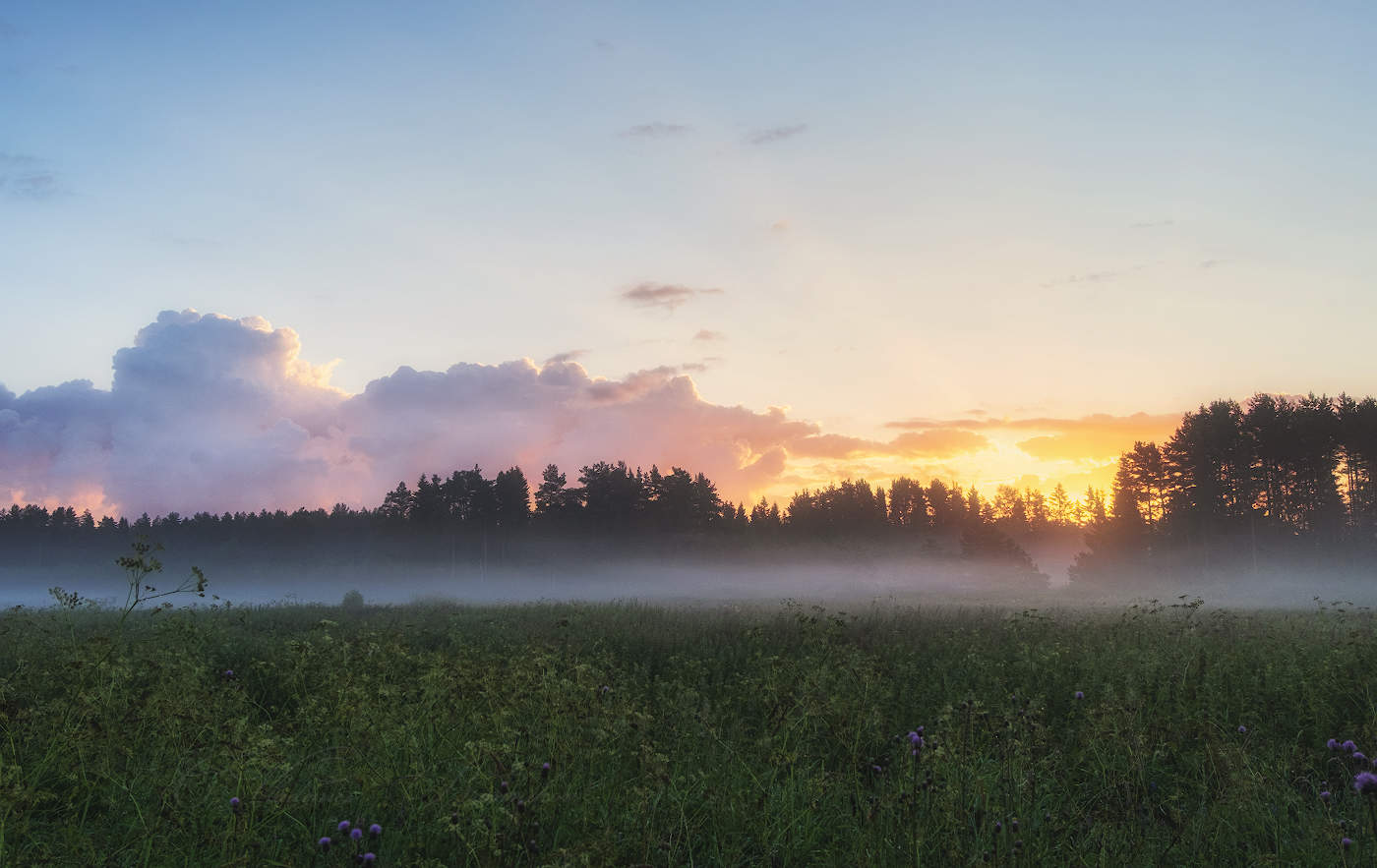 Фото луч кострома