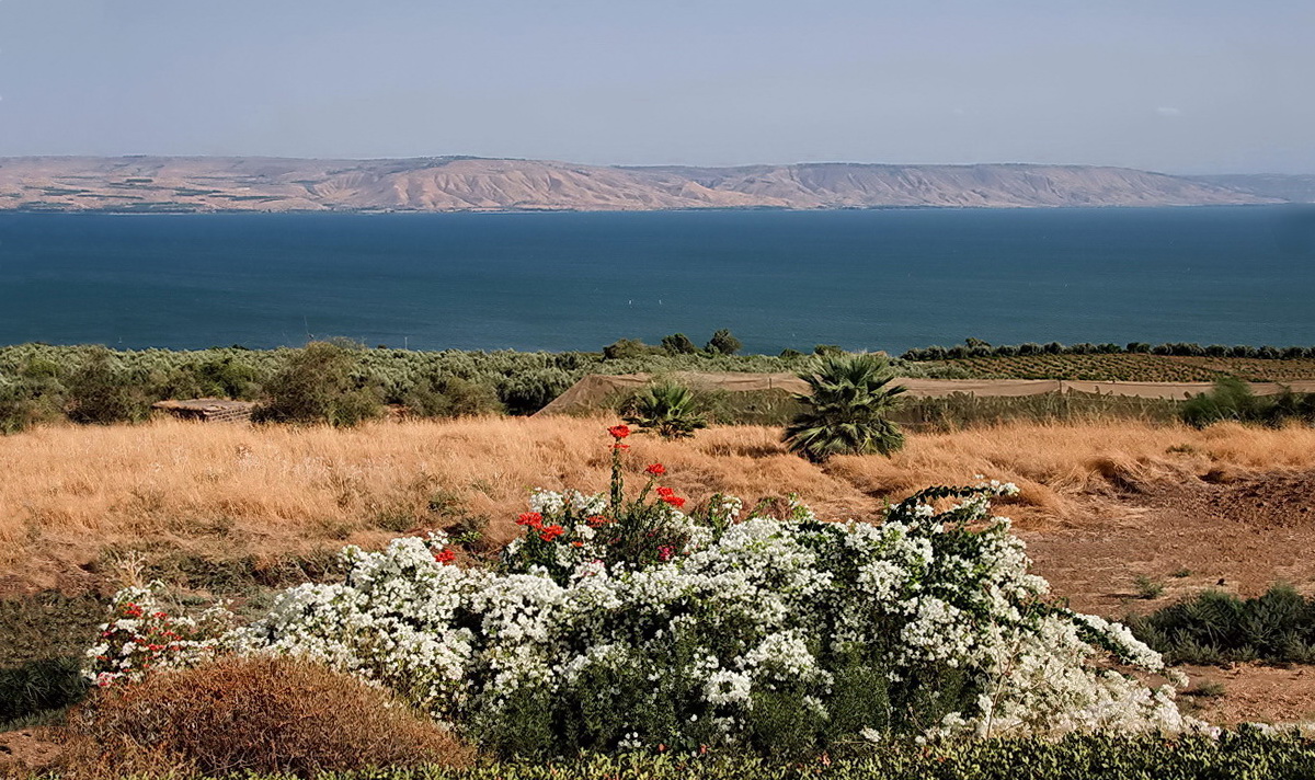 Фото галилейское море