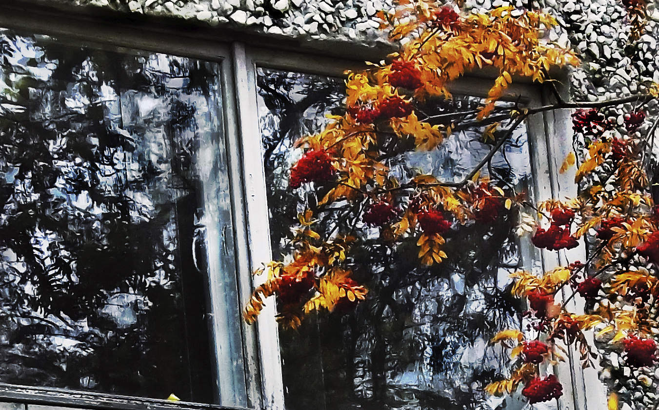 Осень стучится в окно