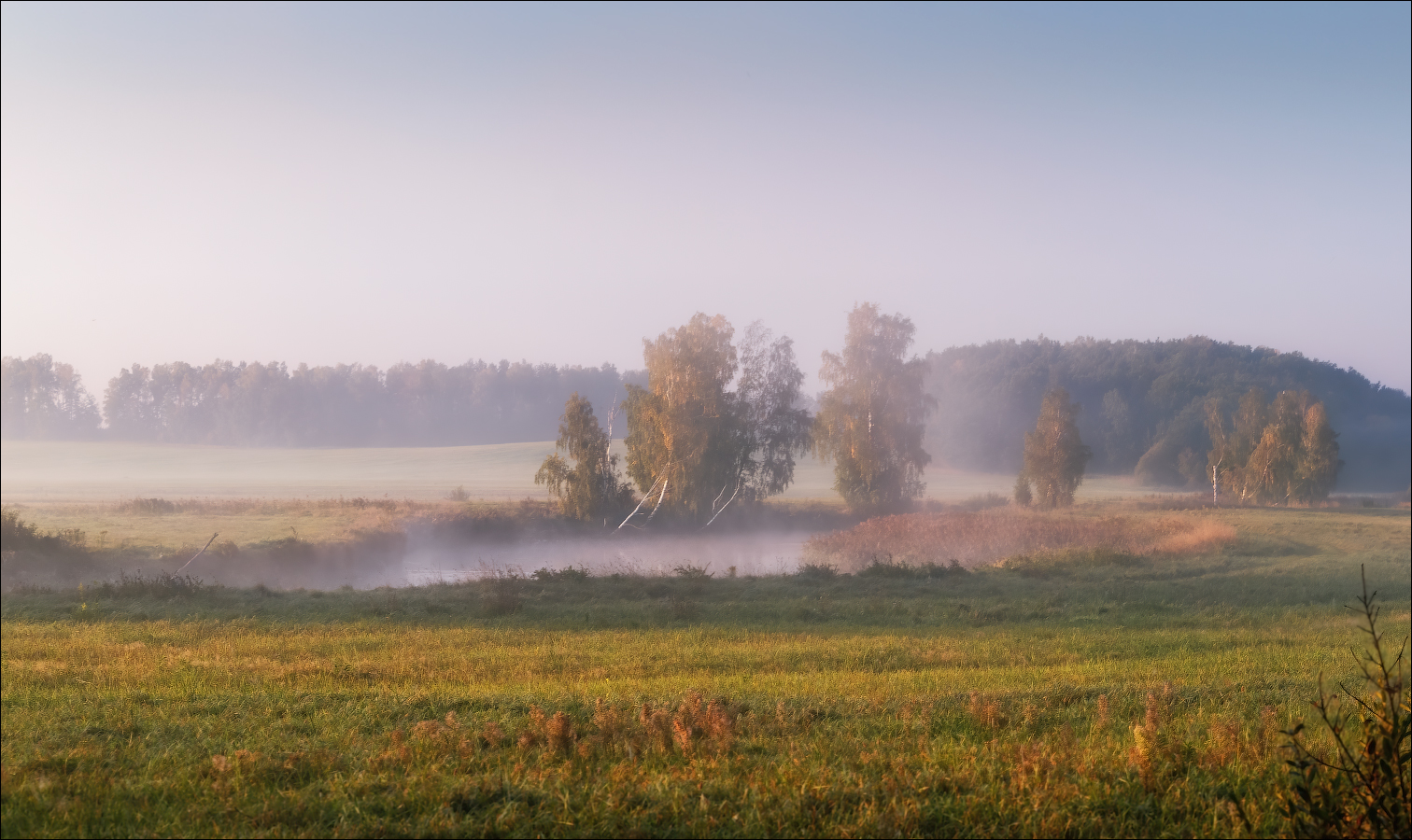 Беларуский пейзаж Полесья утренний туман