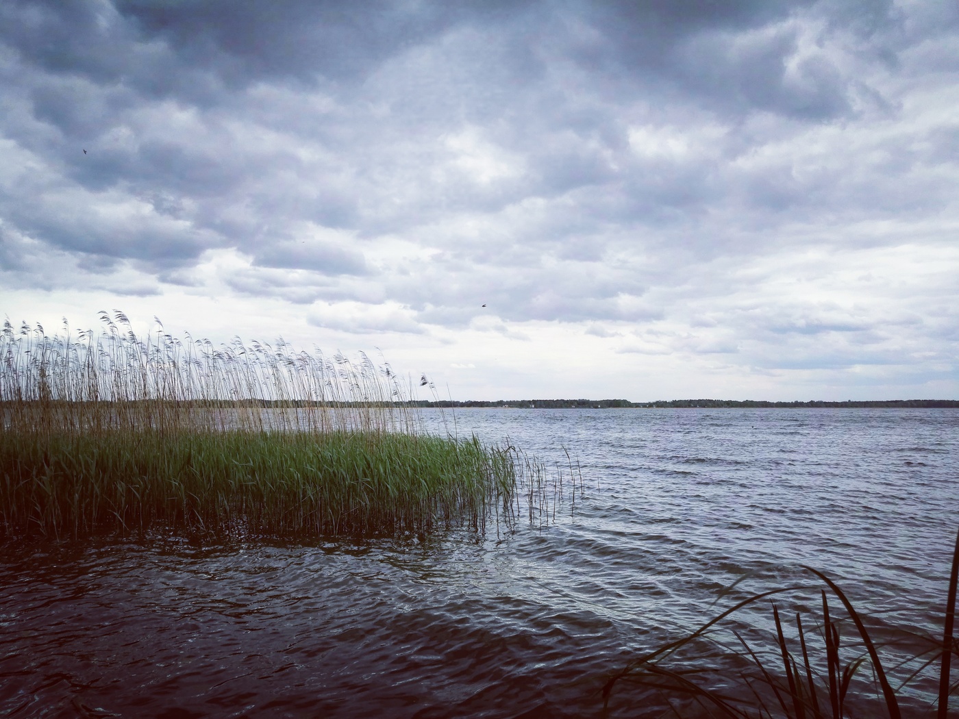 Солигорское водохранилище