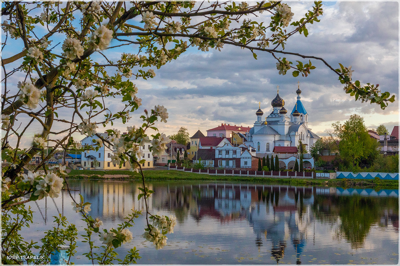 Фото поставы беларусь