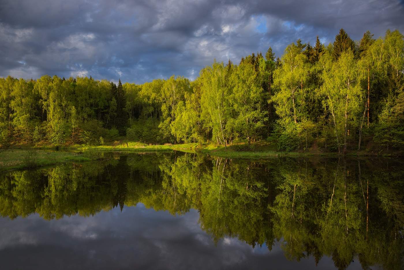 Пейзажи Подмосковья фото