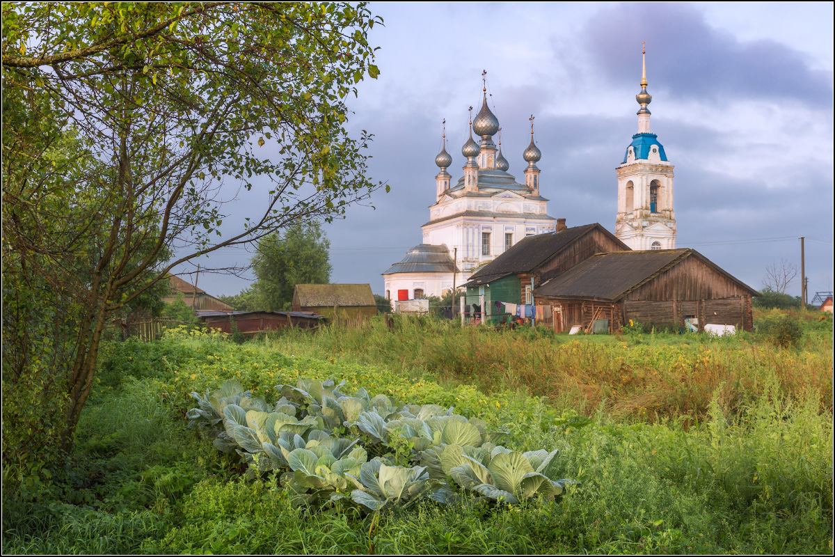 Обл село. Церковь Савинское Ярославская область. Савинское Ярославская область храм Рождества Богородицы. Савинское. Церковь Рождества Пресвятой Богородицы. Село Савинское.